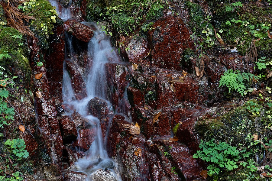 湧き水